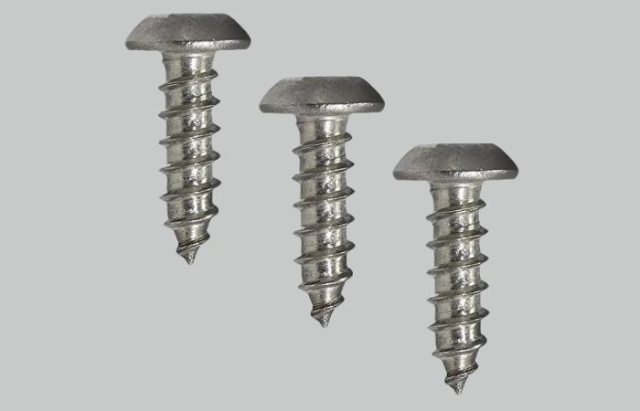 Galvanized Iron Screws